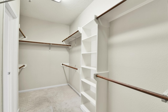 spacious closet with light colored carpet