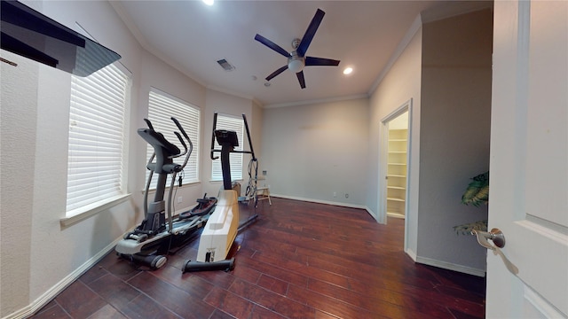 workout room featuring dark hardwood / wood-style floors, ceiling fan, and crown molding