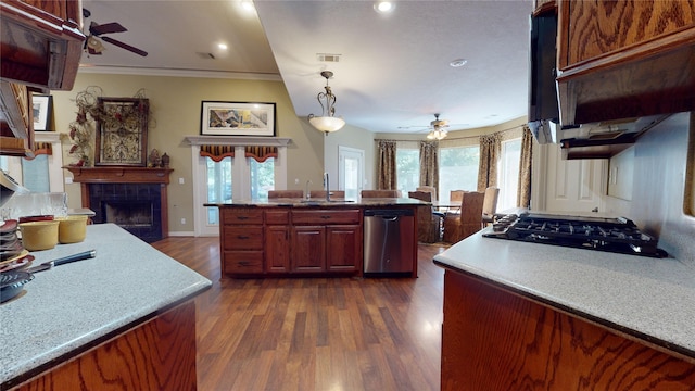 kitchen with a wealth of natural light, dark hardwood / wood-style flooring, and stainless steel dishwasher