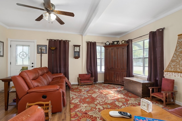 living room with crown molding, beamed ceiling, light hardwood / wood-style floors, and ceiling fan