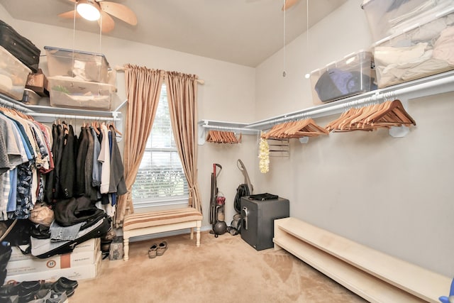 spacious closet with ceiling fan and carpet floors