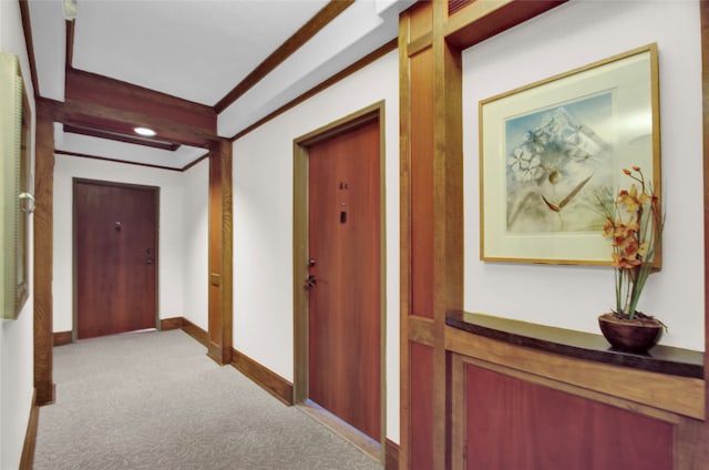 hallway featuring crown molding and light carpet