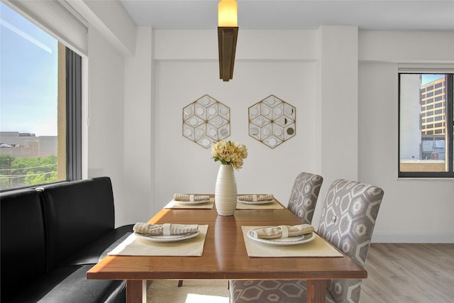 dining space featuring a healthy amount of sunlight and light hardwood / wood-style flooring