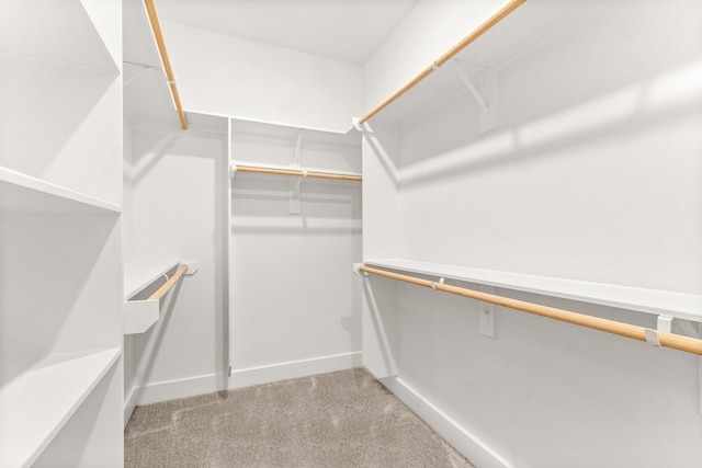 spacious closet with light colored carpet