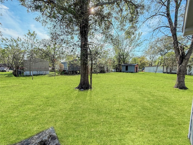 view of yard with a storage unit