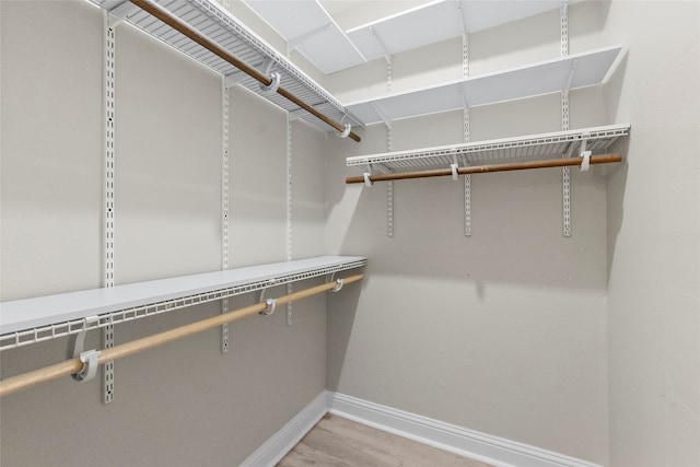 spacious closet featuring light hardwood / wood-style floors