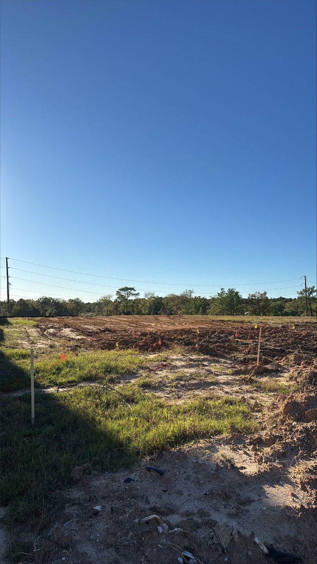 view of yard with a rural view