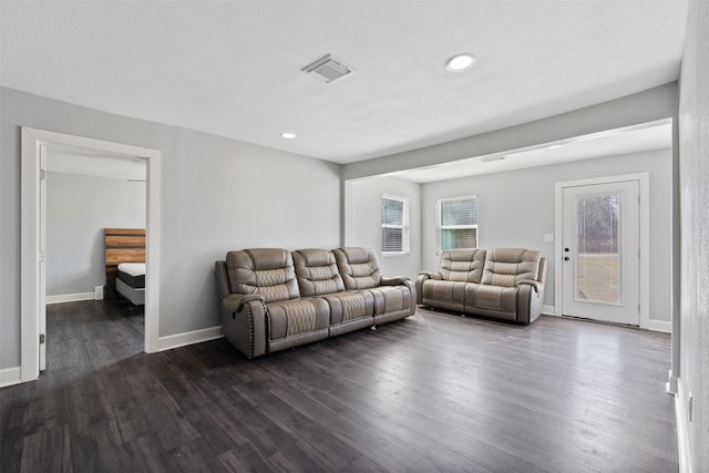 living room featuring dark wood-type flooring