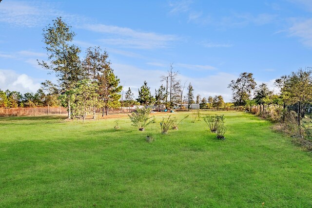 view of yard with a rural view