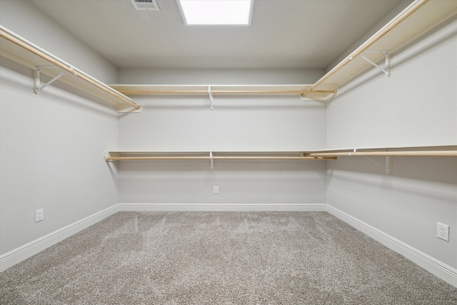 spacious closet featuring carpet floors