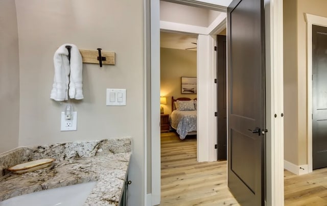 bathroom with wood-type flooring and vanity