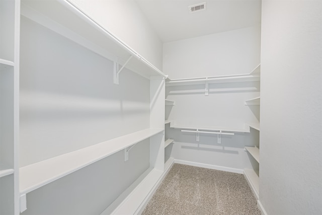 spacious closet with light colored carpet