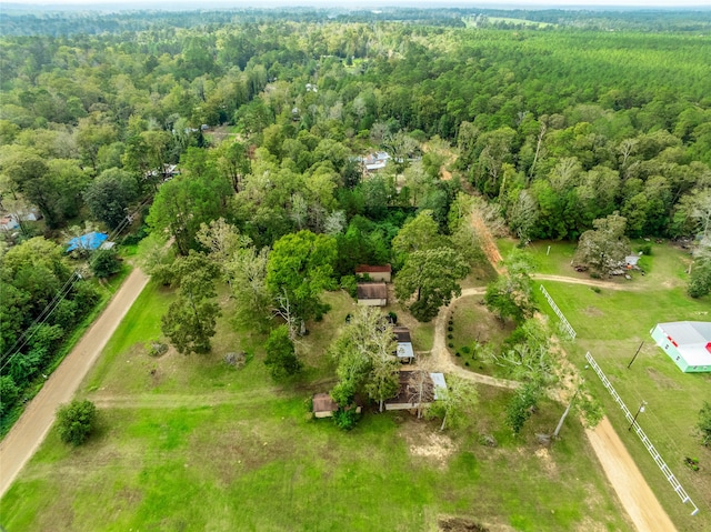 bird's eye view