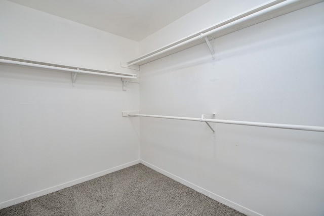 spacious closet with carpet flooring