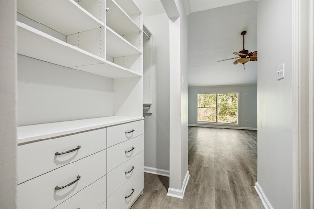 walk in closet featuring ceiling fan, wood-type flooring, and vaulted ceiling