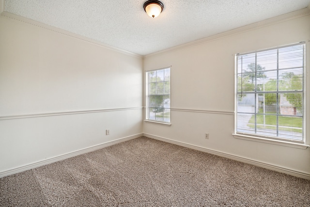 empty room with carpet floors, a textured ceiling, and a wealth of natural light