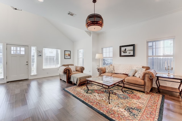 living room with wood-type flooring, high vaulted ceiling, and a wealth of natural light