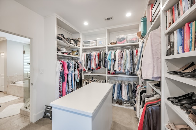 spacious closet with light colored carpet