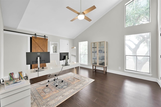 office featuring dark hardwood / wood-style floors, high vaulted ceiling, and plenty of natural light