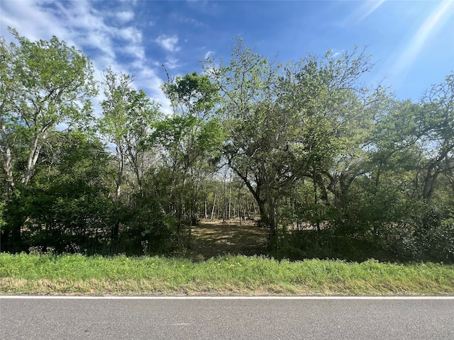 Listing photo 3 for 10186 County Road 400, Brazoria TX 77433