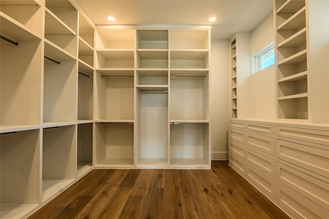 spacious closet featuring dark wood-type flooring