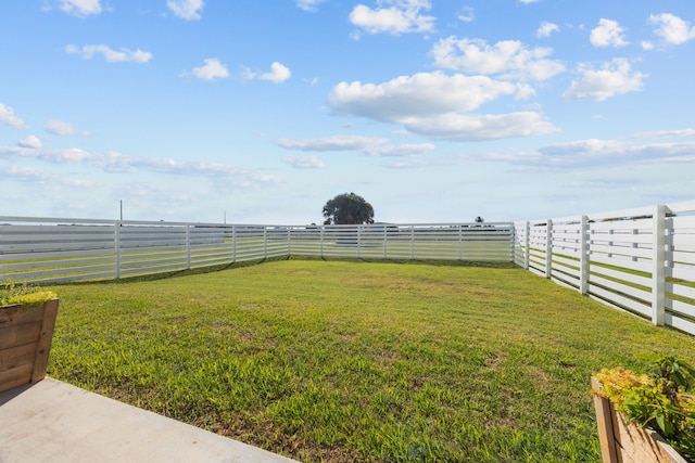 view of yard