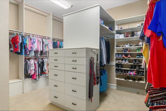 spacious closet with light colored carpet