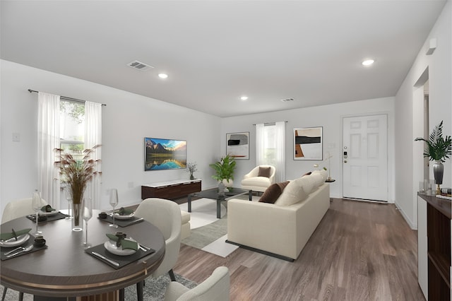 living room featuring wood-type flooring