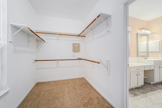 spacious closet with sink and light carpet