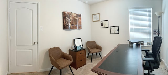 carpeted home office featuring plenty of natural light