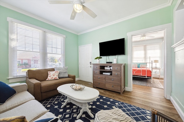 living room with hardwood / wood-style floors, ceiling fan, and crown molding