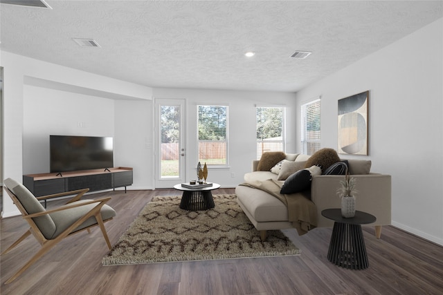 living room featuring wood-type flooring and a textured ceiling