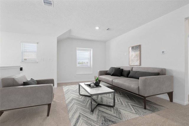 carpeted living room featuring a textured ceiling and a wealth of natural light