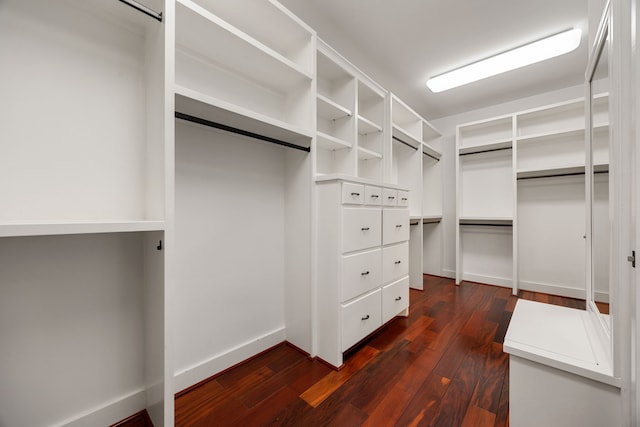 walk in closet featuring dark hardwood / wood-style floors