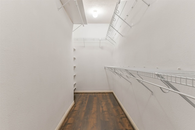 walk in closet featuring dark wood-type flooring