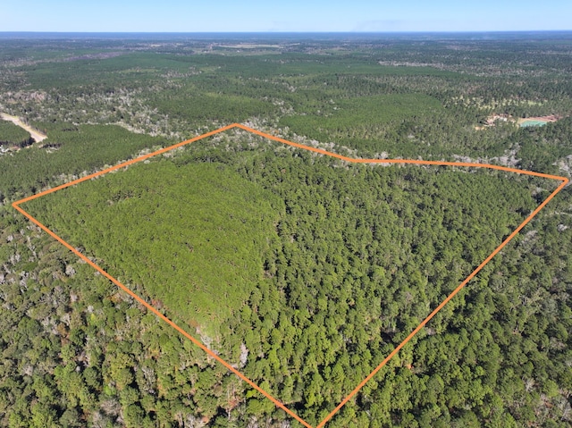 0 Tanyard Rd, Willis TX, 77378 land for sale