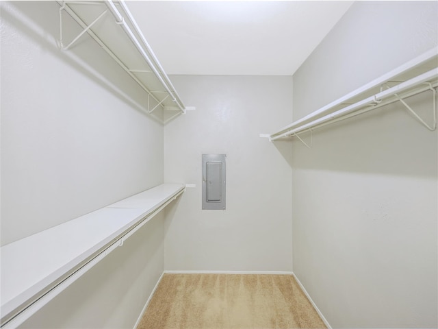 walk in closet with carpet flooring and electric panel