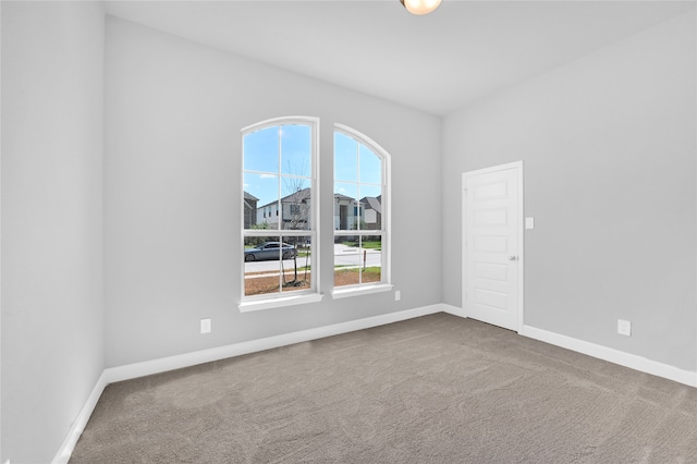 spare room featuring carpet floors