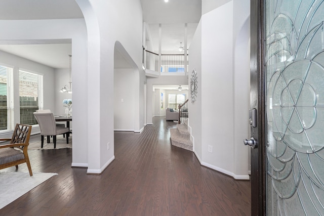 foyer featuring ceiling fan with notable chandelier, dark hardwood / wood-style flooring, a towering ceiling, and a wealth of natural light