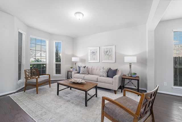 living room featuring hardwood / wood-style floors