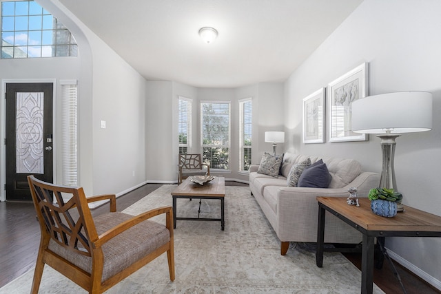 living room featuring light hardwood / wood-style flooring