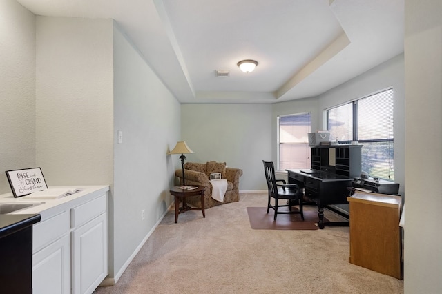 office space featuring a raised ceiling and light colored carpet