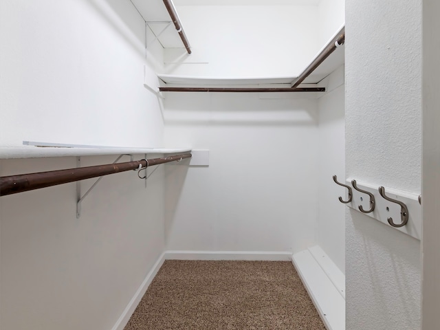 walk in closet featuring carpet flooring