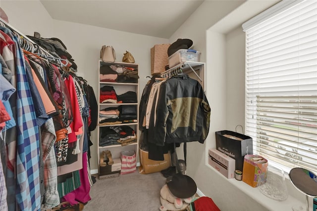 walk in closet featuring carpet