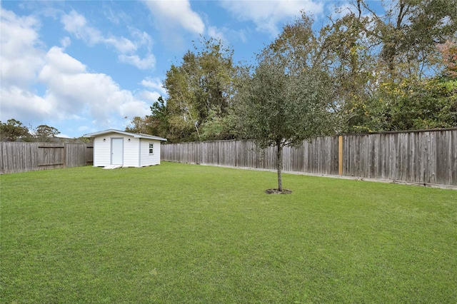 view of yard featuring a shed