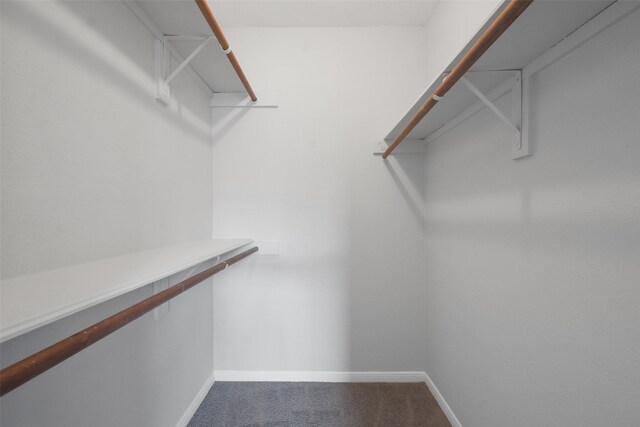 402 Tuam St Unit 2, Houston, TX 77006 - photo 28