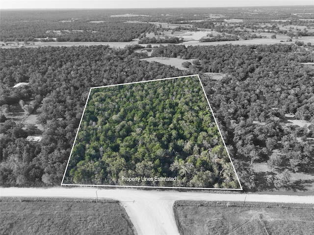 TBD Bascome Lane, Carmine, TX 78932
