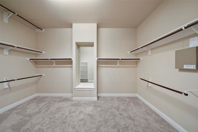 walk in closet with light colored carpet