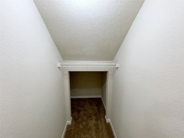 walk in closet featuring lofted ceiling and dark colored carpet