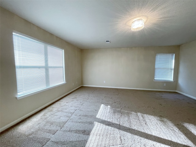 spare room featuring a wealth of natural light and light colored carpet